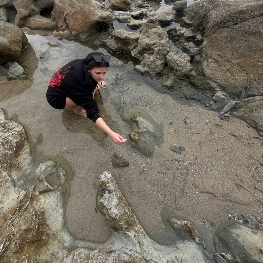 Meet your Posher, Sophie